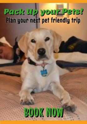 Pet friendly%20Golden%20Bear%20Cottages